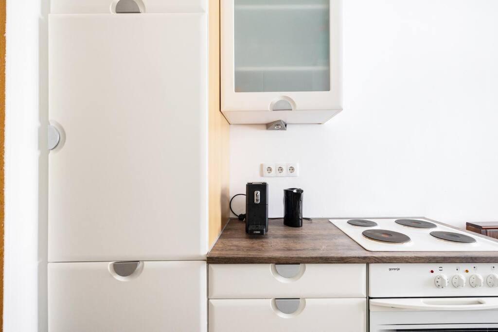 Charming Spacious Apartamento